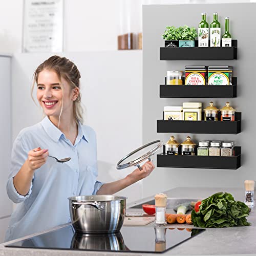 Moveable Fridge Magnetic Spice Racks