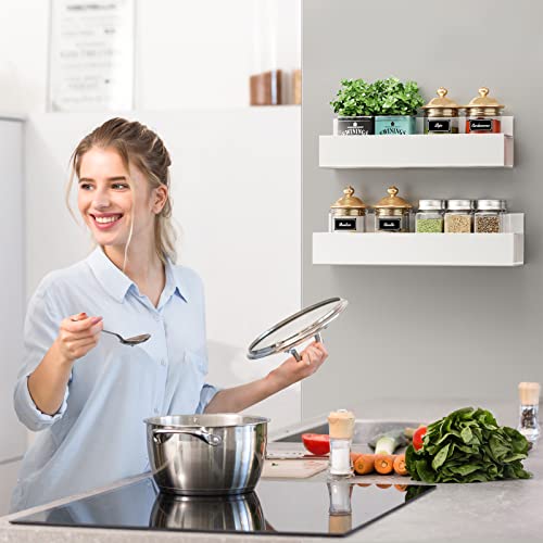 Moveable Fridge Magnetic Spice Racks