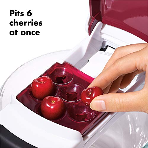 Multi Cherry Pitter