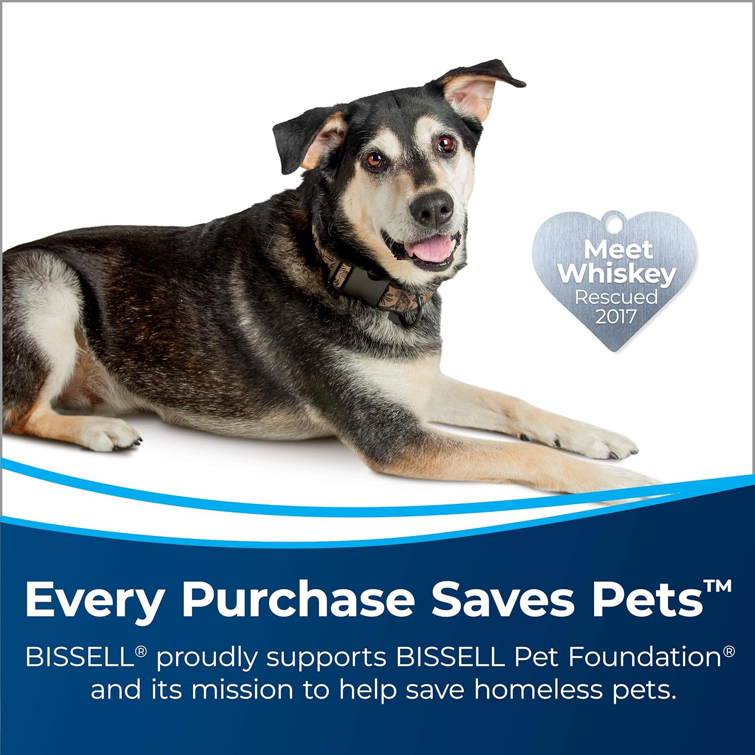 Bissell Big Green PET PRO Carpet Cleaner front view with XL DirtLifter PowerBrush