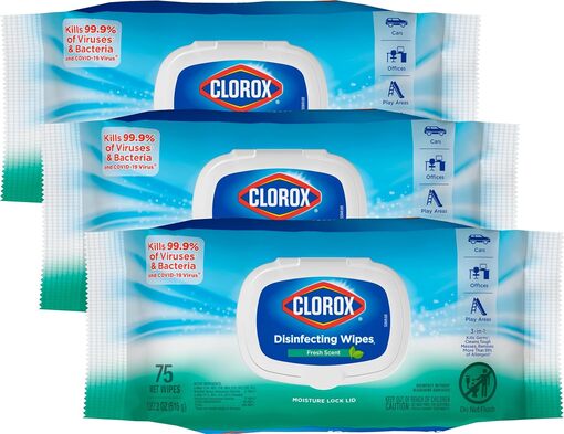 Clorox Disinfecting Wipes - Fresh Scent, 75 wipes per pack - New Look