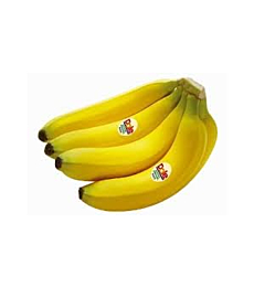 Fresh Organic Bananas Approximately 3 Lbs 1 Bunch of 6-9 Bananas