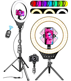 10" Ring Light Tripod Stand, Phone Holder RGB Selfie Ring Light with 59" Phone Ring Light Stand and Desk Tripod,8 Dimming Levels,17 Color LED Ring Lights for Phone,Live Stream,Make Up,YouTube,TikTok