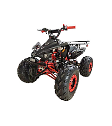 X-PRO 125cc Youth Kids ATV Quad Four Wheeler for Sale,Free Shipping to Your Door