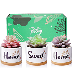POTEY Artificial Succulents in Pots, Home Sweet Home 3.23 Inch Ceramic Pots with Plants, Gift Box and Card, House Warming Gifts for New Home, Birthday Wedding Gift for Home Decor