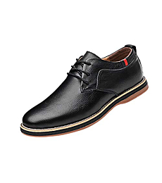 Sanyge Men's Urban Dress Shoes Leather Oxford Shoes Lace Up Classic Workout Flats(Sanyge008Dark.Brown46)