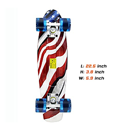 Skateboards Complete 22 Inch Mini Cruiser Retro Skateboard for Kids Boys Youths Beginners