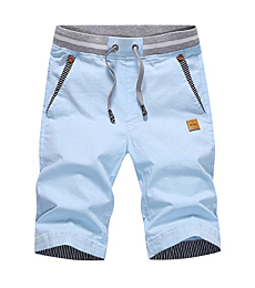 Tansozer Men's Shorts Casual Classic Fit Drawstring Summer Beach Shorts with Elastic Waist and Pockets (Sky Blue, Large)