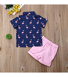 Toddler Baby Boy Flamingo Short Sleeve Button Down Shirt & Casual Shorts Set Summer Outfits 1-6 Years Clothes