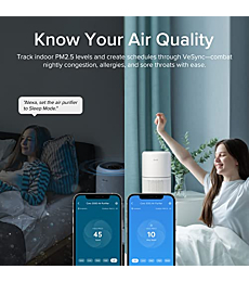 LEVOIT Air Purifiers for Home Bedroom H13 True HEPA Filter for Large Room, Sleep, Quiet Cleaner for Dust, Allergies, Pets, Smoke, White Noise, Smart WiFi, Auto Mode, 300S