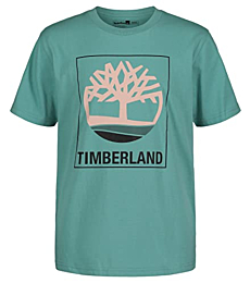 Timberland boys Short Sleeve Graphic T-shirt T Shirt, 01 Mineral Green 22, Small US