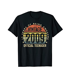 13th Birthday Gifts Vintage 2009 Official Teenager 13 Yr Old T-Shirt