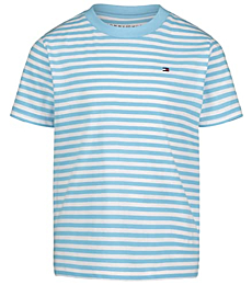 Tommy Hilfiger boys Short Sleeve Crew Neck Striped T-shirt T Shirt, Ithaca Bachelor Button 22, Medium US