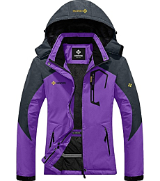 GEMYSE Women's Mountain Waterproof Ski Snow Jacket Winter Windproof Rain Jacket (Purple, Small)