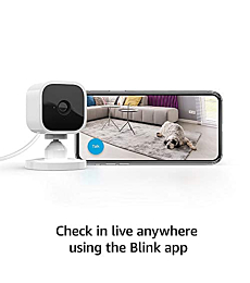 Mobile app screenshot displaying live feed from Blink Mini with motion detection highlighted