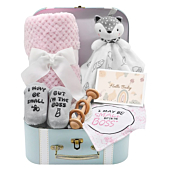 Baby Gift Set, Baby Girls Gift Set New Baby Gifts Basket Includes Babies Blanket Baby Lovey Wooden Rattle Toy, Funny Baby Bibs Socks & Greeting Card - Newborn Baby Shower Gifts, Fox