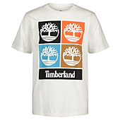 Timberland Boys' Big Short Sleeve Graphic T-Shirt, 06 White 22, 8