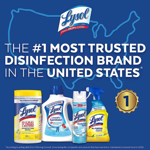 Lysol All-Purpose Cleaner Spray - Mango & Hibiscus