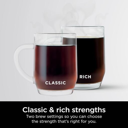 Coffee maker with Classic & Rich brew options and warming plate